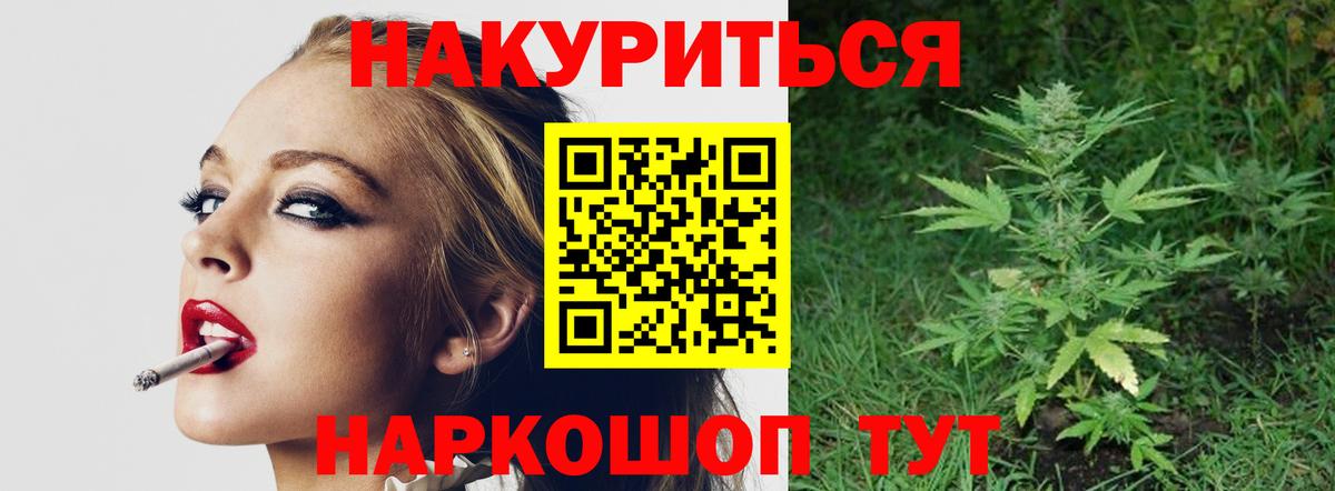 Канабис сатива Юрга